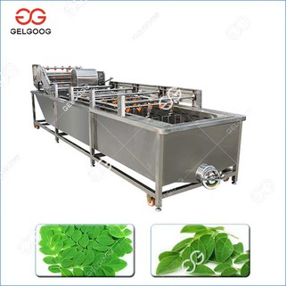 Moringa leaf pesumasin